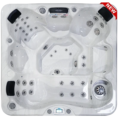 Avalon-X EC-849LX hot tubs for sale in North Charleston
