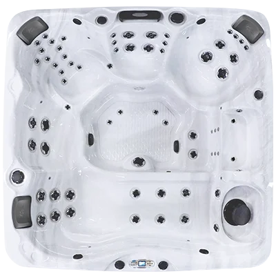 Avalon EC-867L hot tubs for sale in North Charleston