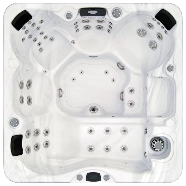 Avalon-X EC-867LX hot tubs for sale in North Charleston
