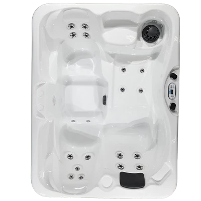 Kona PZ-519L hot tubs for sale in North Charleston